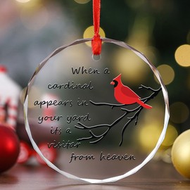 Tesuivra Red Cardinal Christmas Ornament Red Cardinal Memorial Ornament for Christmas Tree Glass Ornament-When a cardinal appears in your yard its a visitar from heaven