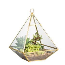 NCYP 7.87 inches Gold Pyramid Vertical Metal Glass Geometric Wall Hanging Terrarium Brass Tabletop Display Pot Succulent Air Plants Holder Planter (No Plants)