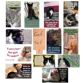 Pet Pass Alongs Scripture Cards Set of 24, 12 unique designs Fun Inspiration Encouragement (Cat Set 1)
