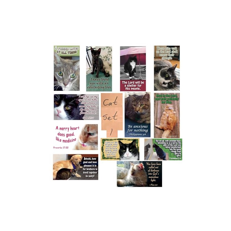 Pet Pass Alongs Scripture Cards Set of 24, 12 unique