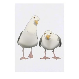 Azeeda 'Mürrische Möwen' Temporäres Tattoo - Hautfreundlicher & Ungiftiger Abziehbild · Wasserfest (TO00085119)