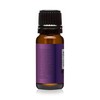 Dark Amethyst - Premium Grade Fragrance Oils - 10ml -