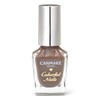 Canmake Colorful Nails N72 Marron Glace, High Color, Quick Drying,