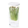 OXO Good Grips GreenSaver Herb Keeper- 2.8 QT