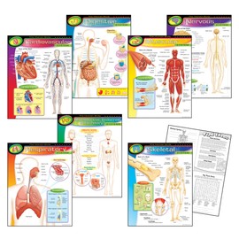 TREND enterprises, Inc. T-38913 The Human Body Learning Charts Combo Pack, Set of 7
