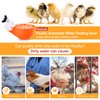 Psarnuk Chicken Waterer Cups (8 Pack/Orange) - DIY Automatic Large