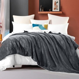 Elegant Comfort Ultra Soft Reversible Flannel Sherpa Blanket - Cozy Silky Fleece Throw for Couch, Bed - Plush Fuzzy Warm Winter Blanket for Gift, Queen, Gray