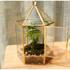 ELEGANTLIFE Glass Geometric Plant Terrarium,Succulent & Air Planter for Home