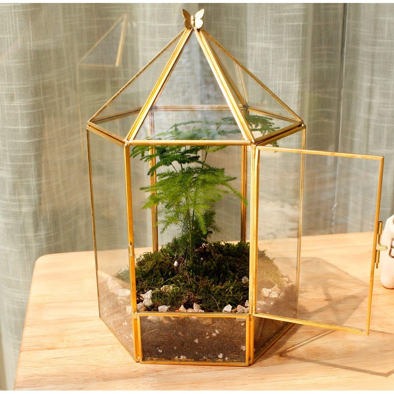 ELEGANTLIFE Glass Geometric Plant Terrarium,Succulent & Air Planter for Home