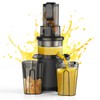 Slow Cold Press Juicer Machines: Masticating Cold Pressed Compact Juicer