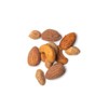 Mr Filbert's - Simply Sea Salt Mixed Nuts 10 x