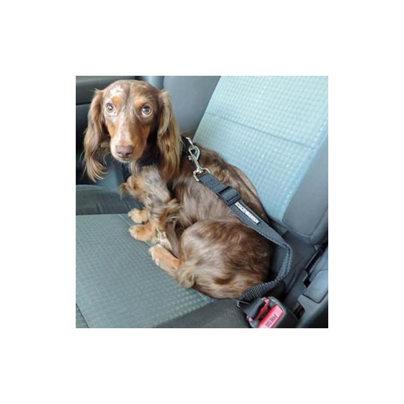 DOGGIE DESIGN Seat Belt Strap Dog Car Leash