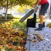 COYUN 1 x leaf vacuum collection bag, black: leaf vacuum