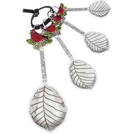 Ganz 4-Piece Measuring Spoon Cardinal Red Silver