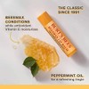Burt's Bees Bálsamo labial para rellenar calcetines, regalo de vacaciones