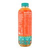ROAR Complete Hydration Organic Variety Pack - Electrolyte Drinks Loaded
