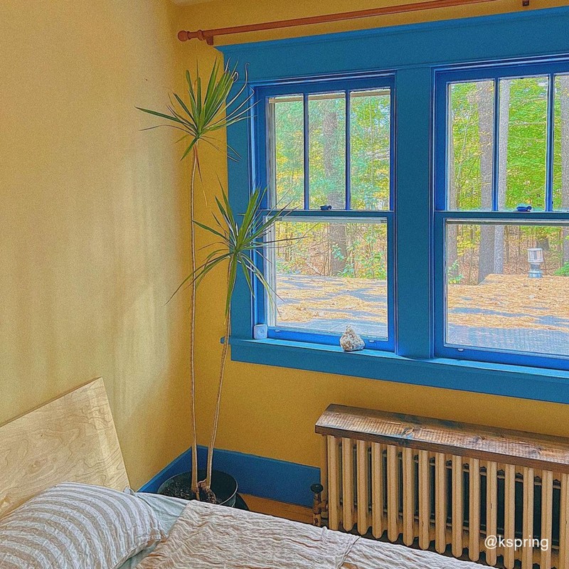 BACKDROP | Premium Interior Paint | Standard Semi Matte, Low