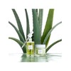 Kim Jeong-moon Aloe [Kim Jeong-moon Aloe] Cure Phytogreen Ampoule 50ml