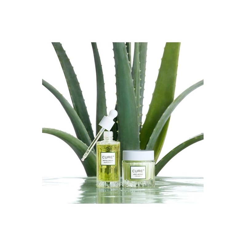 Kim Jeong-moon Aloe [Kim Jeong-moon Aloe] Cure Phytogreen Ampoule 50ml