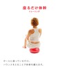 Sakurai Boeki #54147 Erugam Fitness Ball, Abdominal Muscle Tama