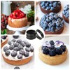 JMIATRY 8 Pcs Crumpet Rings, Non Stick Baking Ring Cooking