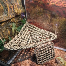 ExoRepti Bearded Dragon Hammock Lizard Tank Accessories Reptile Lounger Amphibian Habitat Décor for Chameleon, Geckos, Snakes, Hermit Crab, Lguana Reptiles, Tortoises