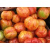 Seeds4planting - Seeds Beefsteak Tomato Giant Tigerella Rainbow Heirloom Vegetable