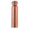 HealthGoodsIn Pure Copper Hammered Water Bottle with Carrying Handle 1000