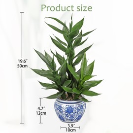 Artificial Potted Plants Indoor Home Decor 20" Tall Fake Lucky Bamboo Plant in Blue and White Ceramic Pot Faux Potted Plants Indoor Houseplant for Home Tabletop, Office Desk, Shelf, Zen Room