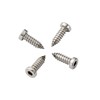 License Plate Screws 1/4-3/4, Self-Tapping, Stainless Steel (Silver)