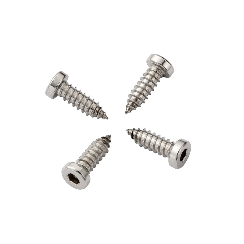 License Plate Screws 1/4-3/4, Self-Tapping, Stainless Steel (Silver)