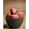 Sugar-Free Sweetening Vanilla Powder | Vanilla Sugar Alternative | Multipurpose,
