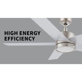 Carro 52 Inch Flush Mount Ceiling Fan with Lights, 3 Light Colors Dimmable Ceiling Fan Low Profile, Reversible 10 Speeds DC Motor, Silver