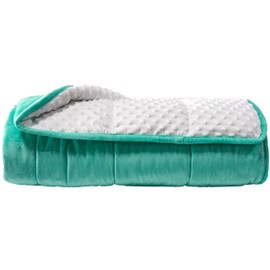 ALANSMA Reversible Weighted Blanket for All Season, Luxury Velvet, Warm and Cool, Adult 10Lb Green Weighted Blanket, Enjoy Sleeping Anywhere(Light Green,48"x72" 10lbs)