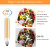 BROLSKUN E11 LED Dimmable 15W Bright Light Equivalent E11 Halogen