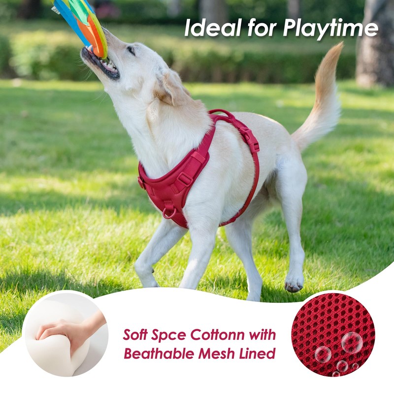 Sunraymascota No Pull Dog Harness, Puppy Vest with Front Clip