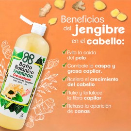 Shampoo Bao Botanico Extracto De Jengibre (crecimiento)1 Lt                                                                                           
