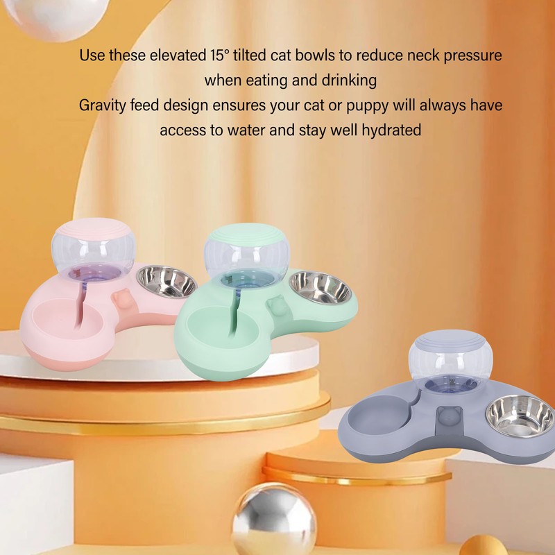 Double Cat Bowls Pet Food and Water Bowl Set Tilted