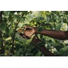 Fiskars Bypass Secateurs for Fresh Branches and Branches, Non-Stick, Steel