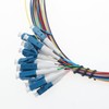 Terizger 12 Strand Fiber Optic Pigtail LC/UPC Single Mode Low