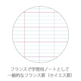 Clairefontaine Mimesys 313361C Exercise Book DIN A4+ 24 x 32 cm 48 Sheets 90 g French Ruling Polypropylene Cover Stapled Pink Pack of 1