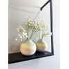 A K Lifestyle Mini Ombre Bud Vases Set of 2pcs