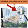 ASOFTY Pack of 10 M8 Suction Cups with Thread, Diameter