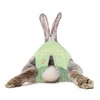 MPS Medical Pet Shirt Rabbit, Surgery Recovery Suit, Green, XXX-Small