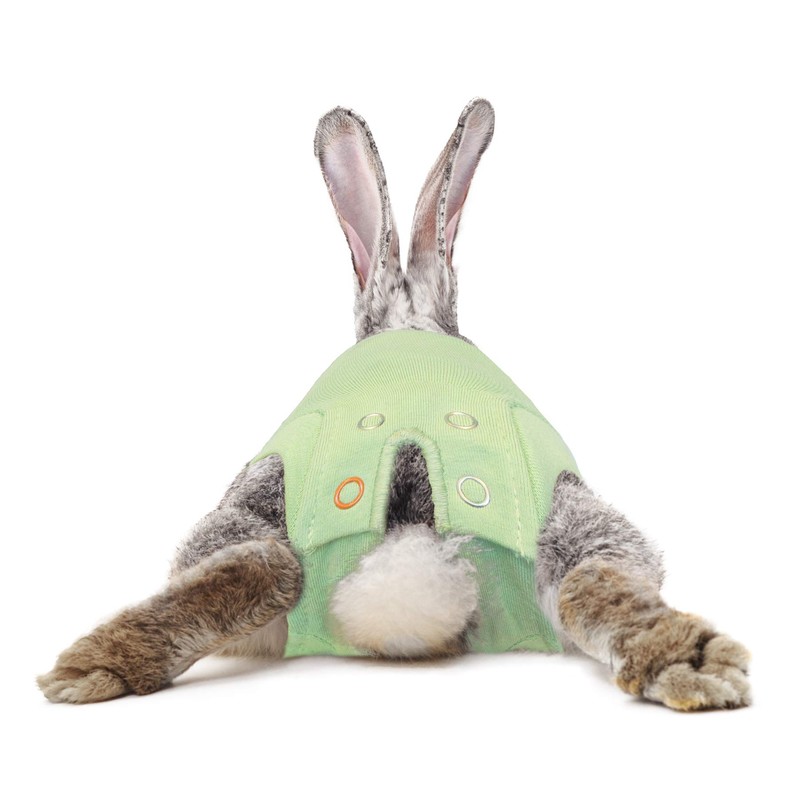 MPS Medical Pet Shirt Rabbit, Surgery Recovery Suit, Green, XXX-Small