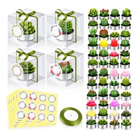 48pzs Velas Cactus Aromaticas Suculento Decorativas Con Caja