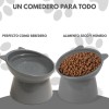 Comedero Elevado Para Perro Y Gato Plato Elevado Ergonómico Color