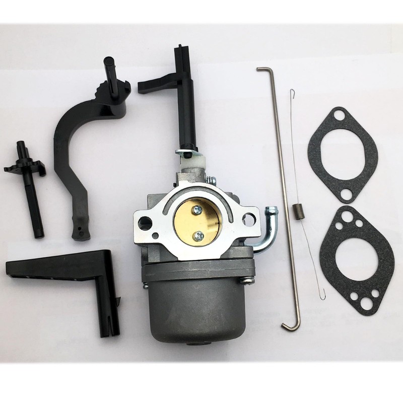 LIZAPUS Carburetor Compatible with B & S 342cc 16.50 1650
