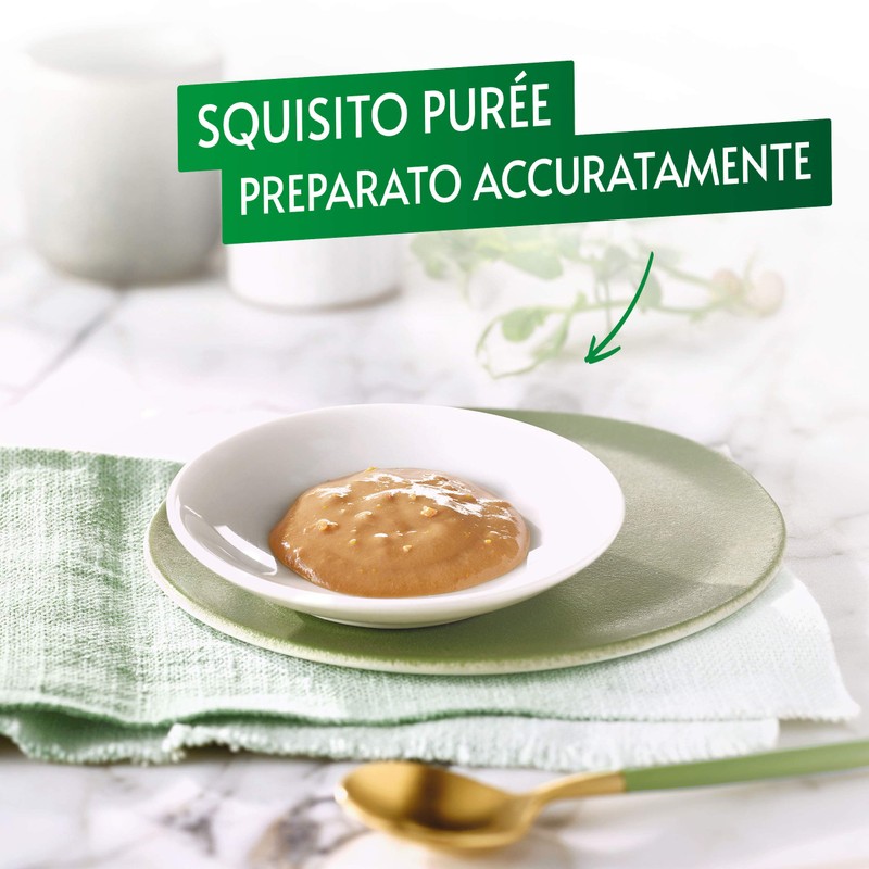 GOURMET Pure Salmon 11X5X10GR