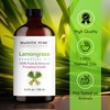 MAJESTIC PURE Lemongrass Essential Oil with Glass Dropper | 100%